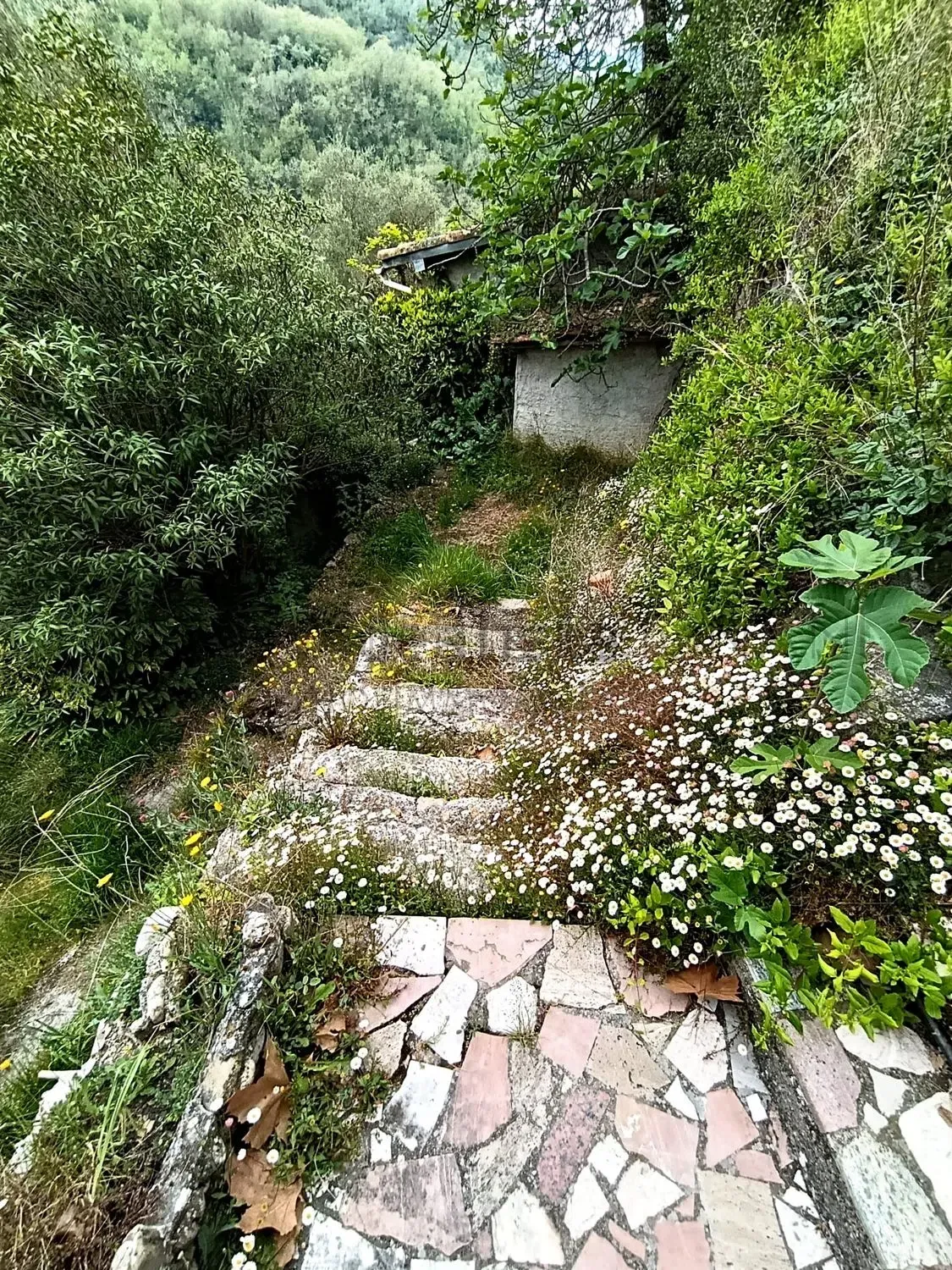 795262626 Appartamento nel borgo